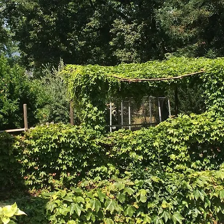 Fattoria Sequoia B&B